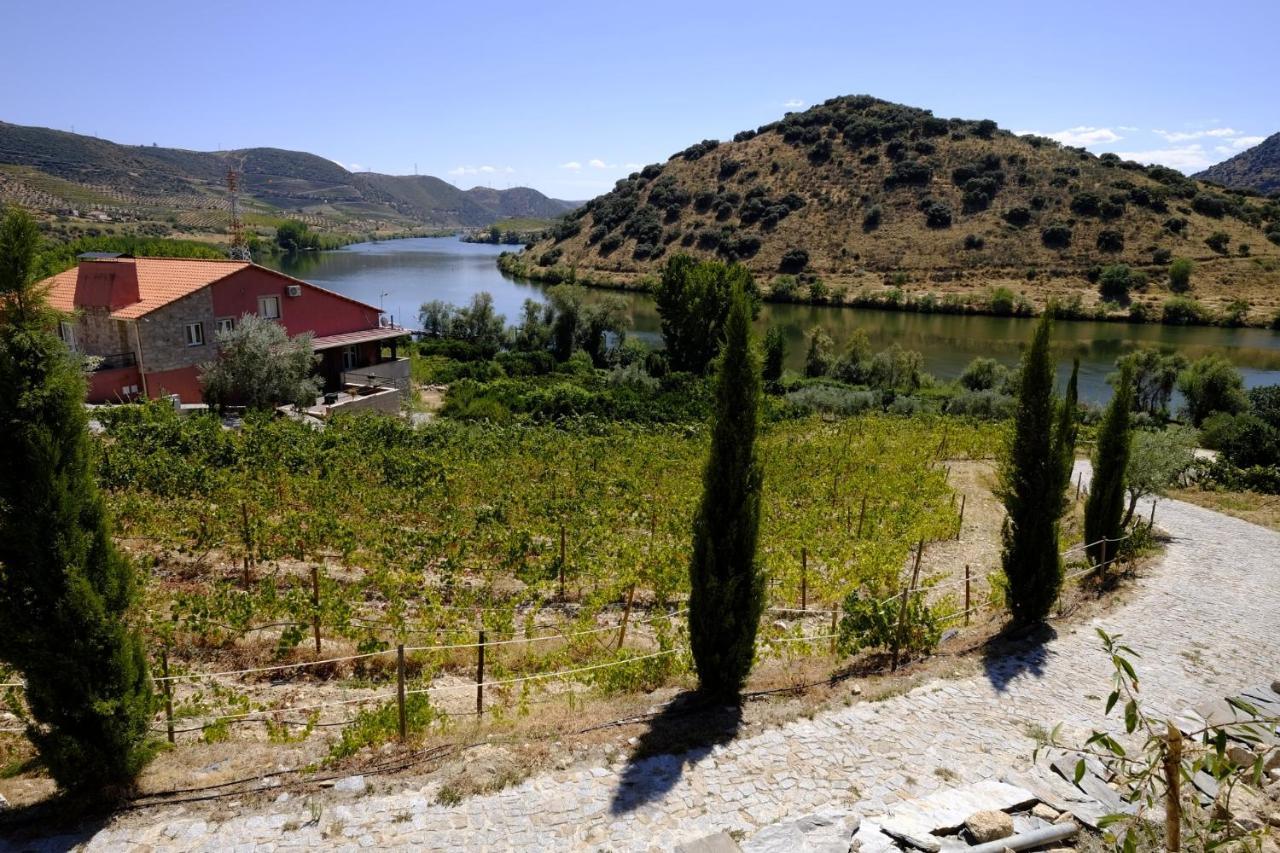 Gasthaus Olhares Do Douro Torre De Moncorvo Exterior foto